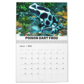 Agenda voor reptielen en amfibieën kalender (Mar 2026)