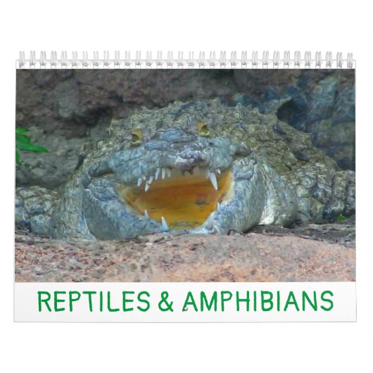 Agenda voor reptielen en amfibieën kalender (Hoes)