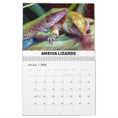 Agenda voor reptielen en amfibieën kalender (Jan 2026)