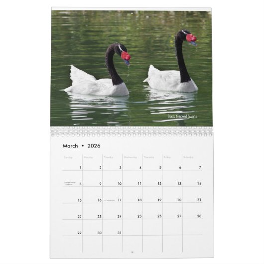 Agenda voor swans kalender (Mar 2026)