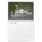 Agenda voor swans kalender (Jan 2026)