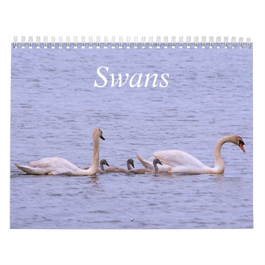 Agenda voor swans kalender (Hoes)