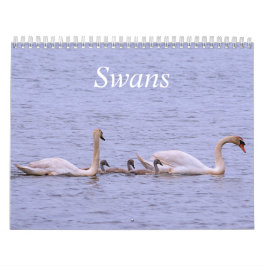 Agenda voor swans kalender