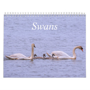 Agenda voor swans kalender