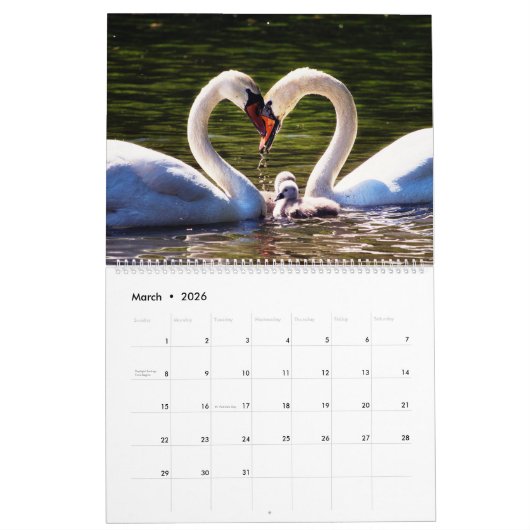 Agenda voor swans kalender (Mar 2026)