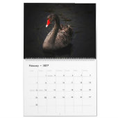 Agenda voor swans kalender (Feb 2027)