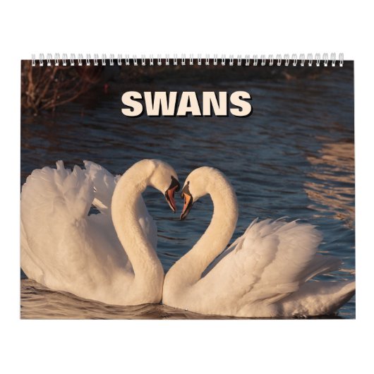 Agenda voor swans kalender (Hoes)