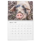 Agenda voor varkens en biggen - 2021 kalender (Feb 2027)