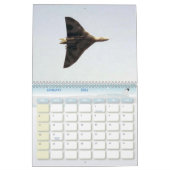 Agenda voor vliegtuig-liefhebbers kalender (Jan 2026)