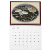 Agenda - vooral voor u #2 kalender (Mar 2026)