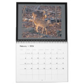 Agenda - vooral voor u #2 kalender (Feb 2026)