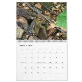 Agenda - waar de wilde dingen leven kalender (Mar 2027)