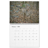 Agenda - waar de wilde dingen leven kalender (Feb 2026)