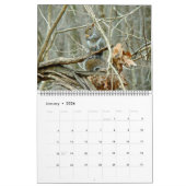 Agenda - waar de wilde dingen leven kalender (Jan 2026)