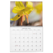 Agenda ~ Wildbloemen Galore Kalender (Jan 2027)