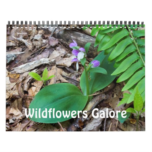 Agenda ~ Wildbloemen Galore Kalender (Hoes)