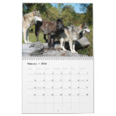 Agenda - Wolven - 2014 Kalender (Feb 2026)
