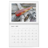 Agenda -  zoutwaterkleuren kalender (Mar 2027)