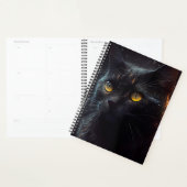 Agendas Black cat (Display)