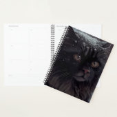 Agendas Black cat (Display)