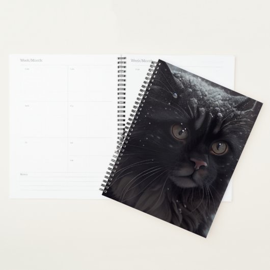 Agendas Black cat (Display)
