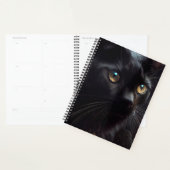 Agendas Black cat (Display)