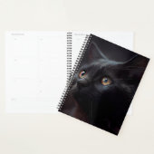 Agendas Black cat (Display)