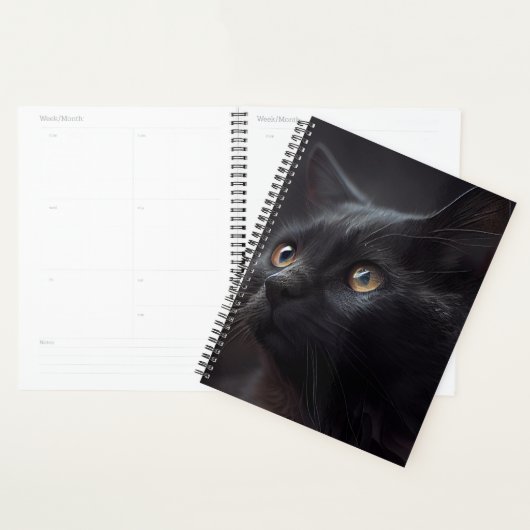 Agendas Black cat (Display)