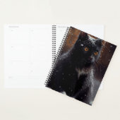 Agendas Black cat (Display)