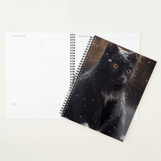 Agendas Black cat (Display)