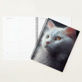 Agendas cat (Display)