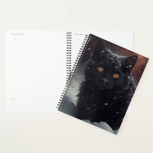 Agendas Zwarte kat (Display)
