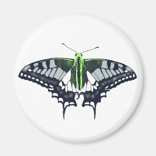 Agender Flag Swallowtail Butterfly Magneet