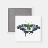 Agender Flag Swallowtail Butterfly Magneet (Voorkant / Achterkant)