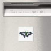 Agender Flag Swallowtail Butterfly Magneet (Insitu (Vaatwasser))