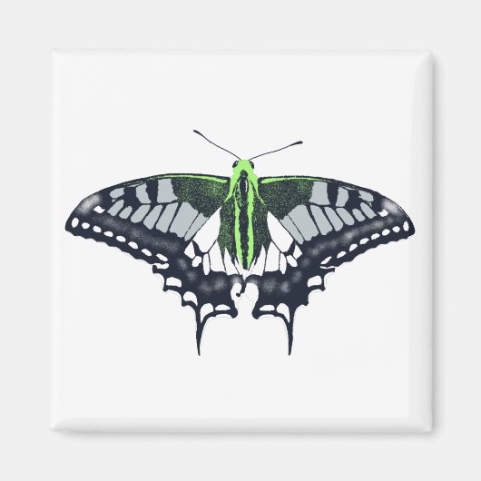 Agender Flag Swallowtail Butterfly Magneet (Voorkant)