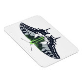 Agender Flag Swallowtail Butterfly Magneet (Rechterzijde)