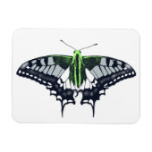 Agender Flag Swallowtail Butterfly Magneet (Horizontaal)