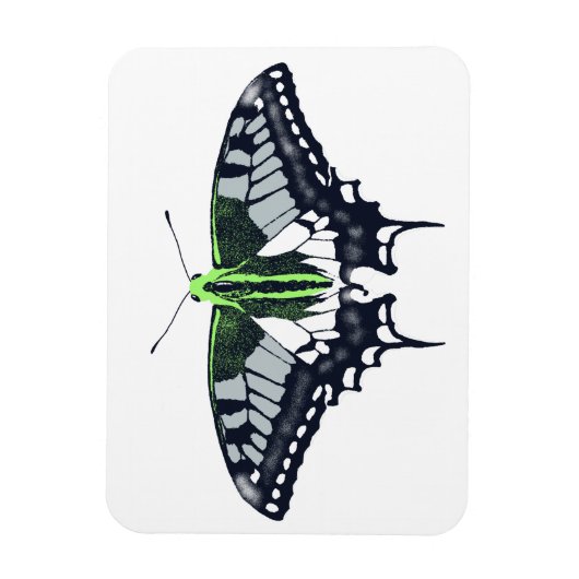 Agender Flag Swallowtail Butterfly Magneet (Verticaal)