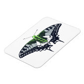 Agender Flag Swallowtail Butterfly Magneet (Linkerzijde)