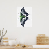 Agender Flag Swallowtail Butterfly Poster (Keuken)
