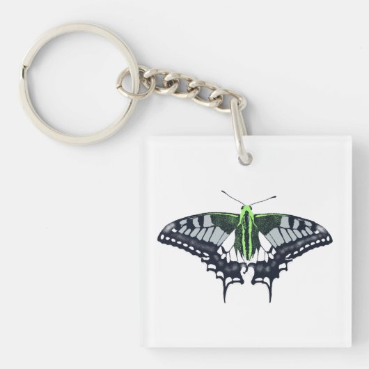 Agender Flag Swallowtail Butterfly Sleutelhanger (voorkant)