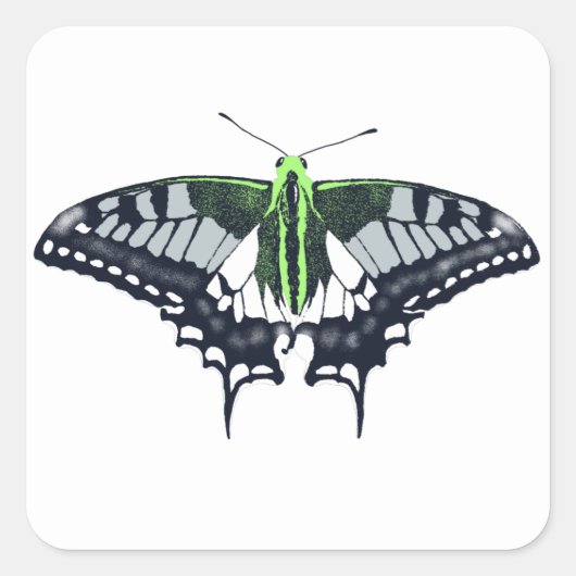 Agender Flag Swallowtail Butterfly Vierkante Sticker (Voorkant)