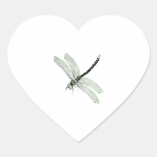 Agender Pride  Dragonfly Art Hart Sticker (Voorkant)
