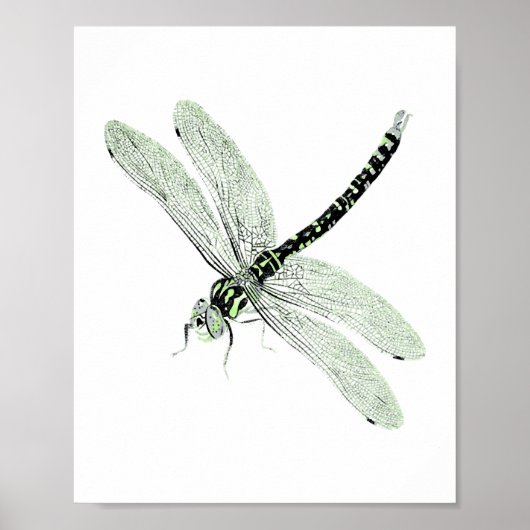 Agender Pride Dragonfly Art Poster (Voorkant)