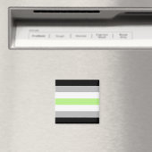 Agender Pride Vlag – Agender Identiteit LGBTQIA+ Magneet (Insitu (Vaatwasser))