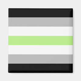 Agender Pride Vlag – Agender Identiteit LGBTQIA+ Magneet