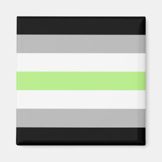 Agender Pride Vlag – Agender Identiteit LGBTQIA+ Magneet