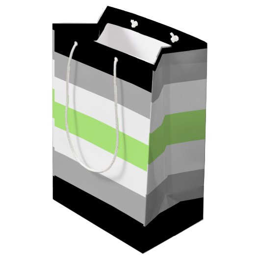 Agender Pride Vlag Medium Cadeauzakje (Achterkant Gekanteld)