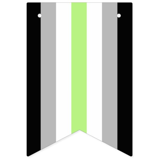 Agender Pride Vlag Vlaggetjes (Tweede vlag)